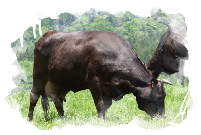 牛たん料理閣 和牛